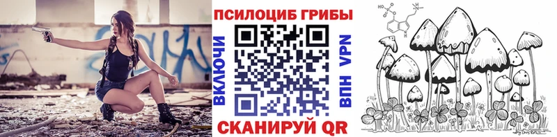 Галлюциногенные грибы MAGIC MUSHROOMS  Ленинск 